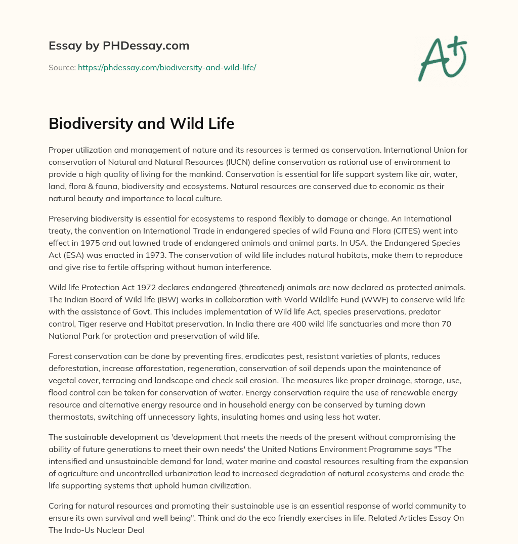 Biodiversity and Wild Life essay