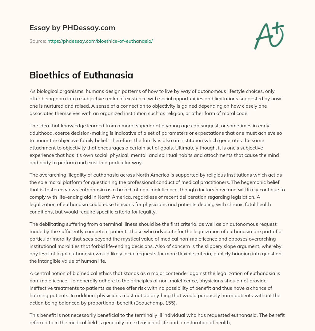 Bioethics of Euthanasia essay