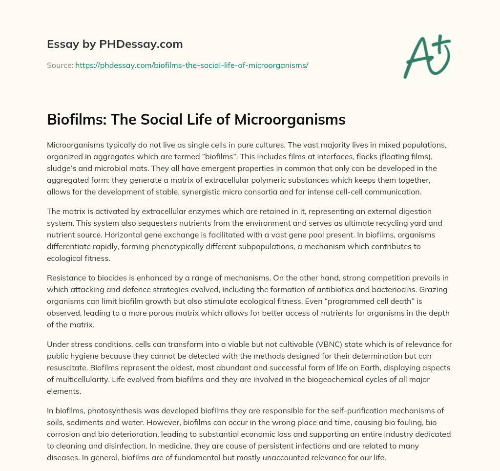 Biofilms: The Social Life of Microorganisms essay