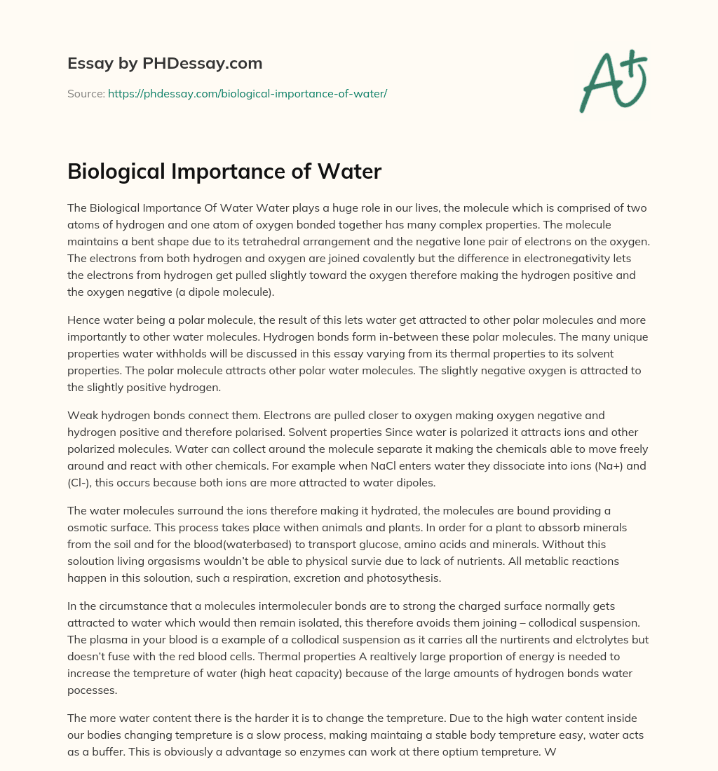 biological importance of water essay aqa