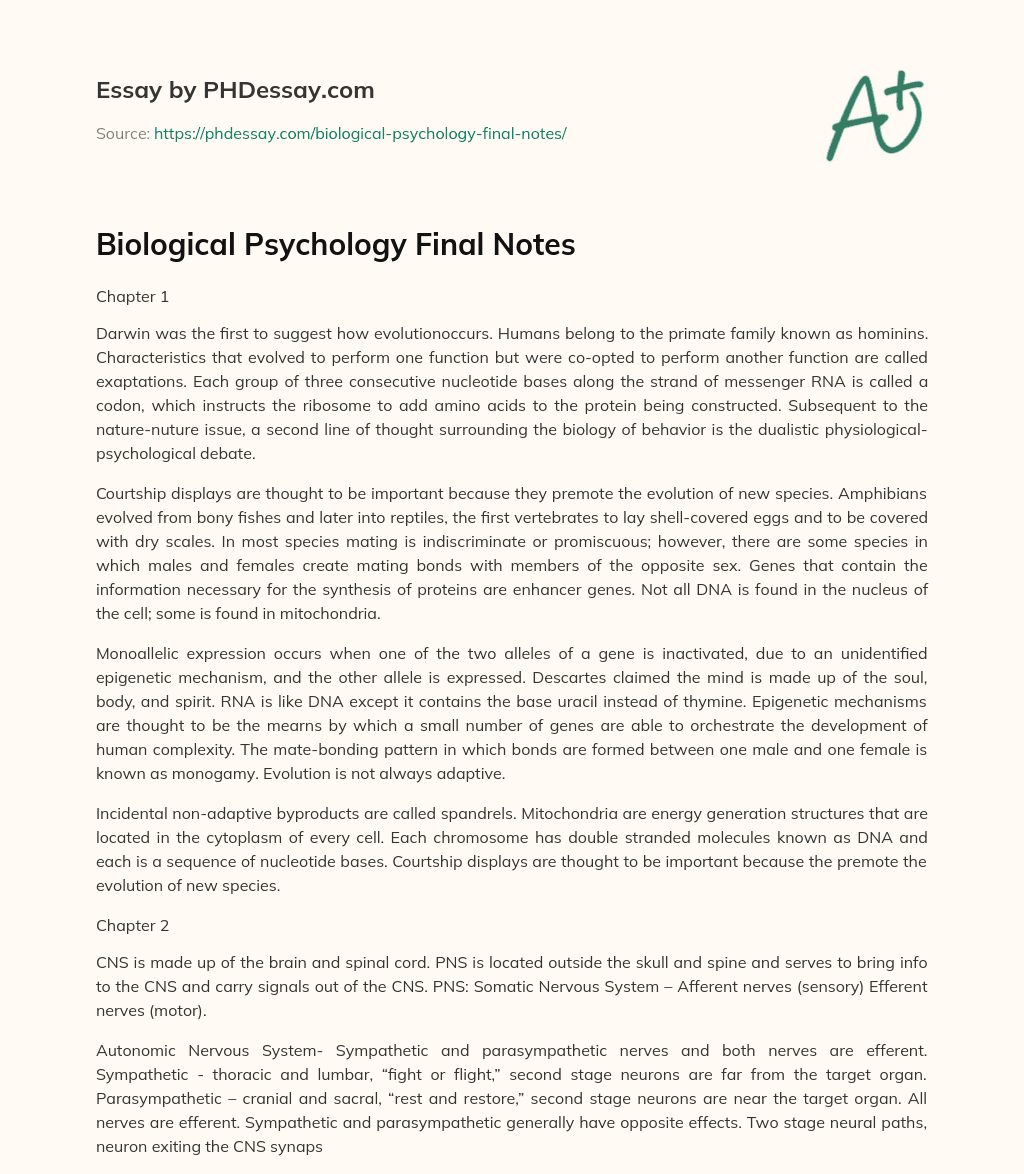 Biological Psychology Final Notes essay