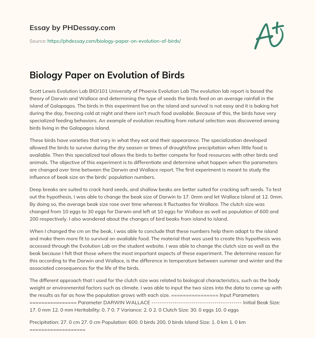 Biology Paper on Evolution of Birds essay