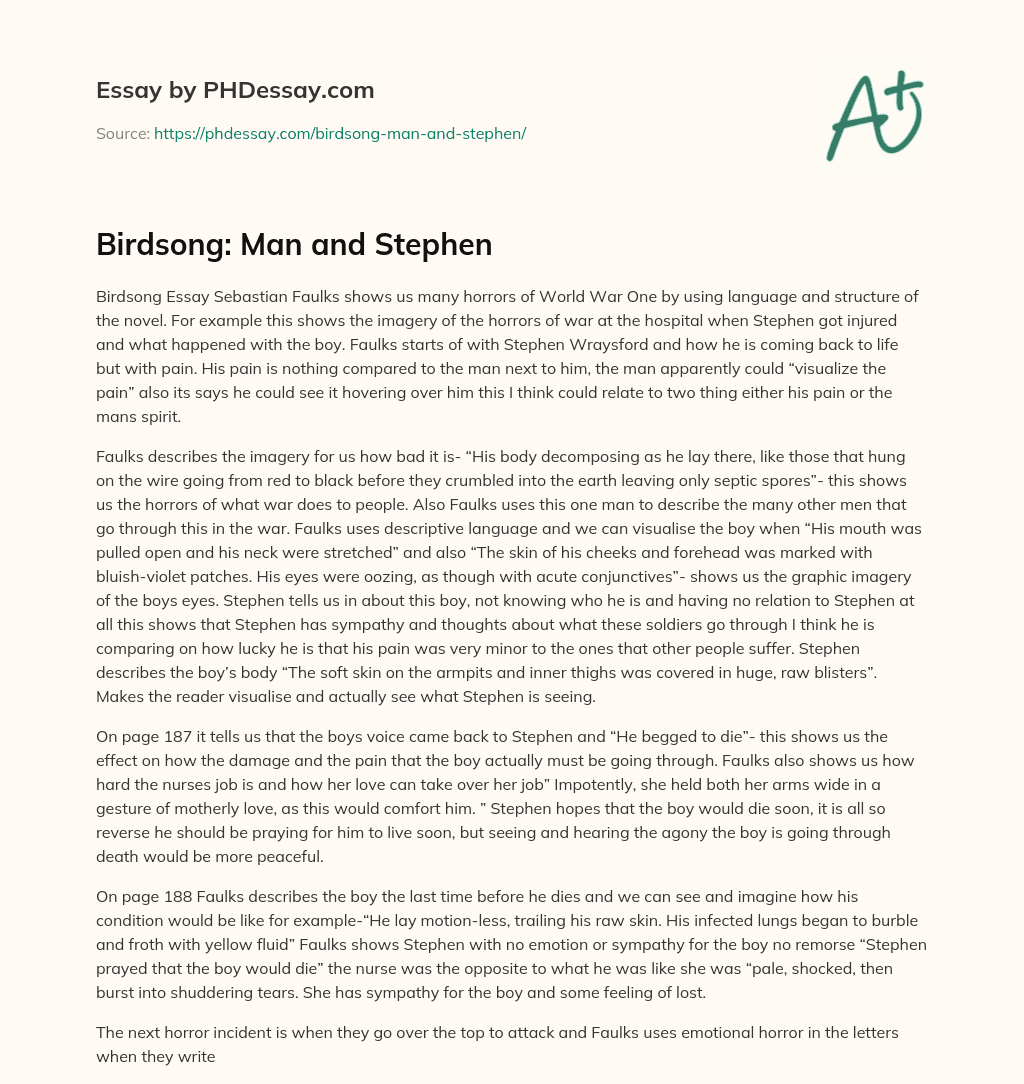 Birdsong: Man and Stephen essay
