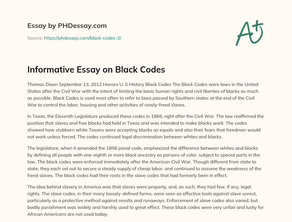 Informative Essay on Black Codes essay