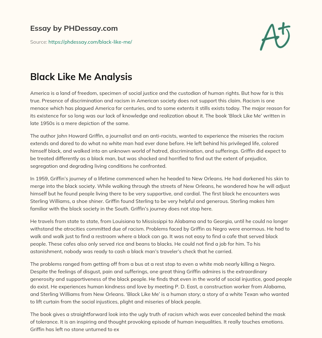Black Like Me Analysis essay