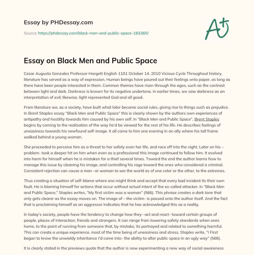Essay on Black Men and Public Space essay