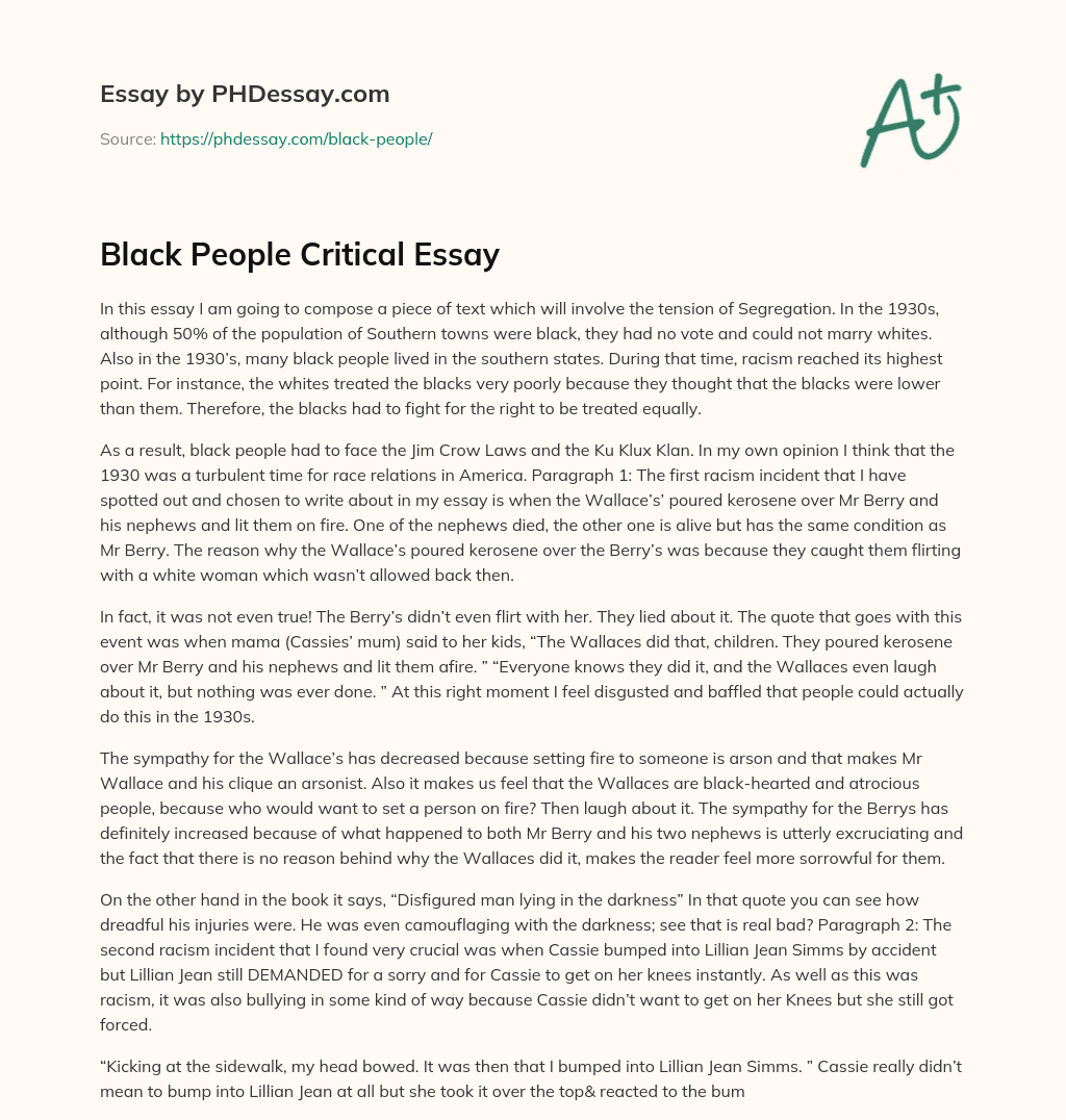 Black People Critical Essay essay