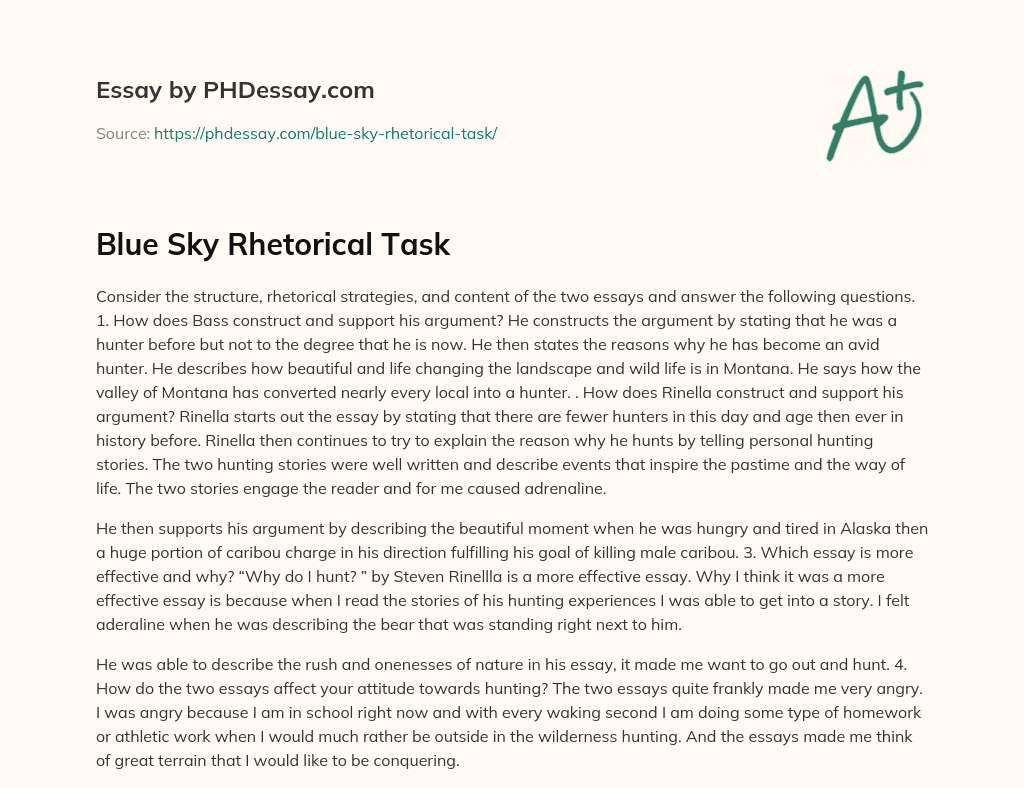 Blue Sky Rhetorical Task essay
