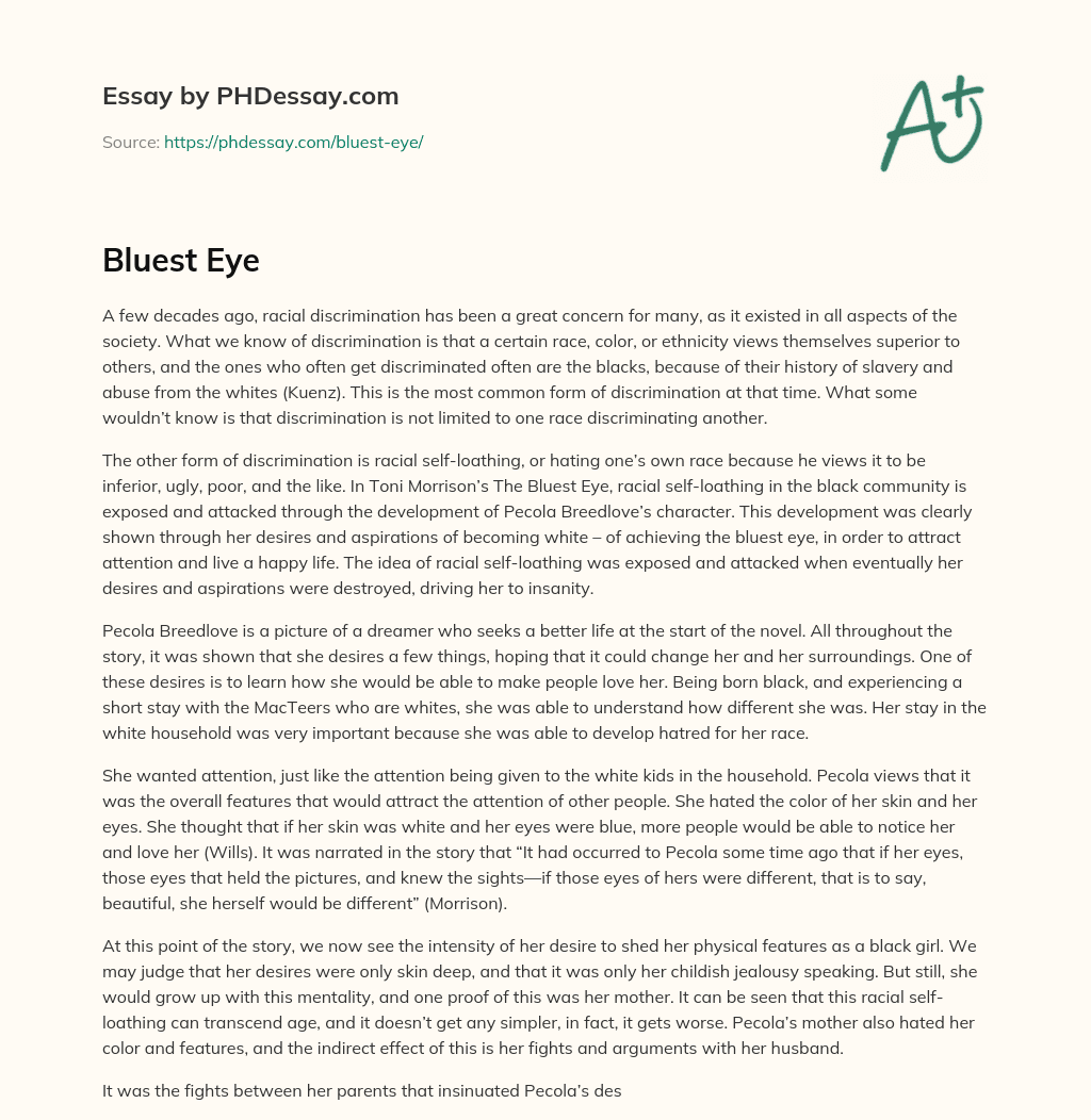 Bluest Eye essay