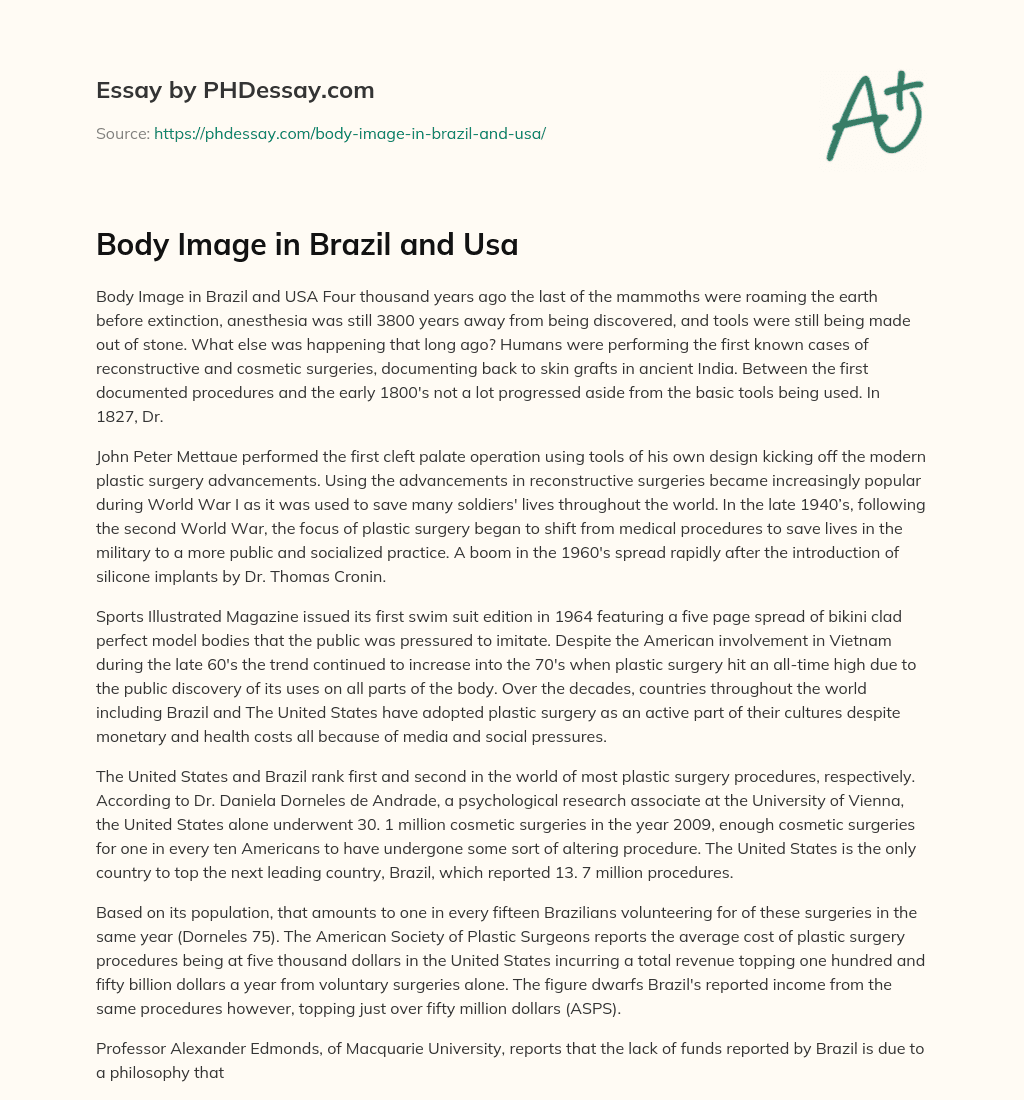 Body Image in Brazil and Usa essay