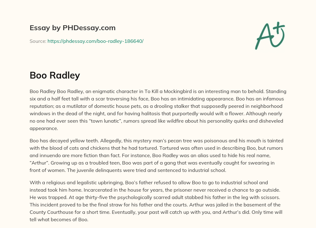 Unraveling the Mystery of Boo Radley in To Kill a Mockingbird essay