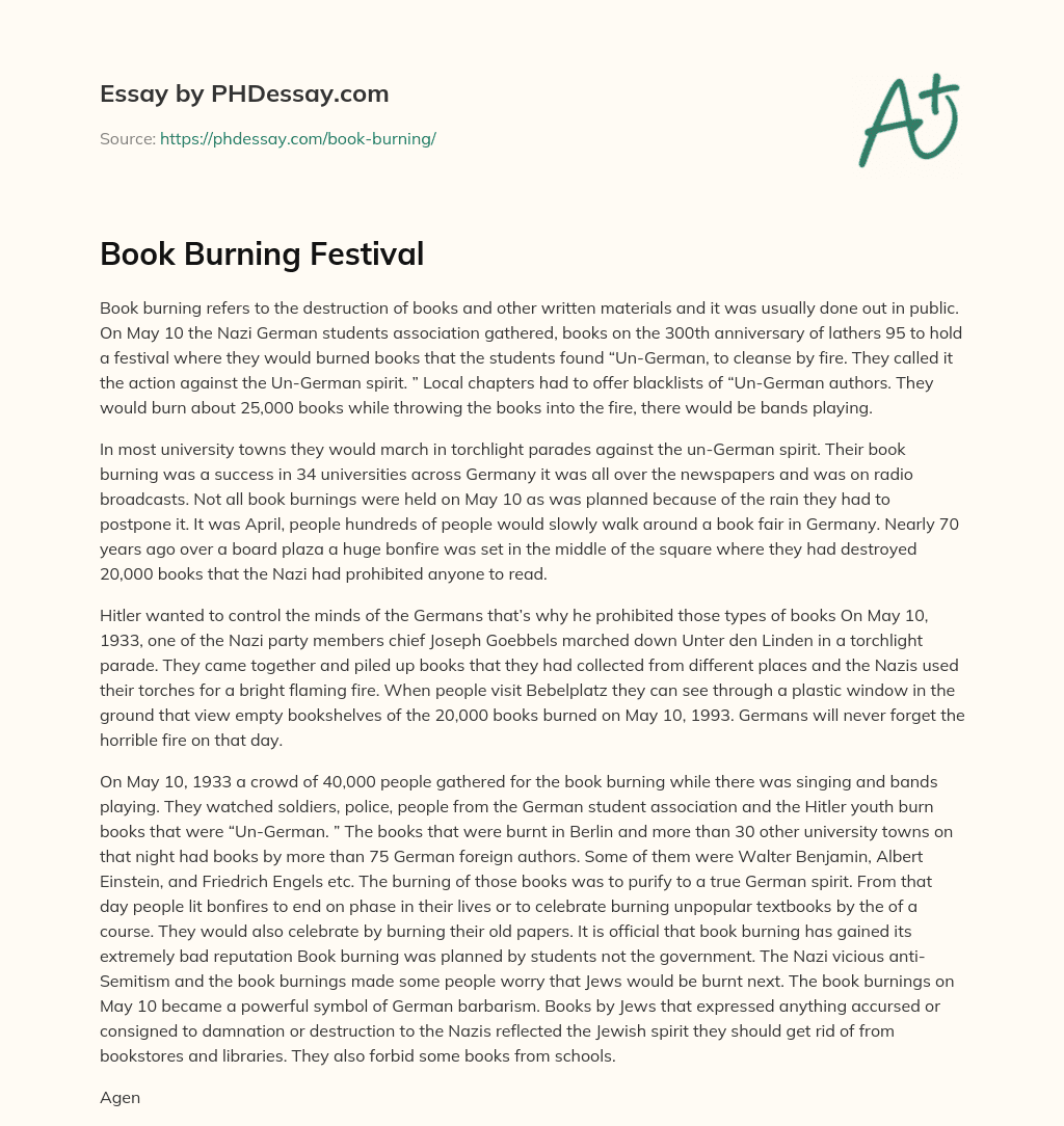 Book Burning Festival essay