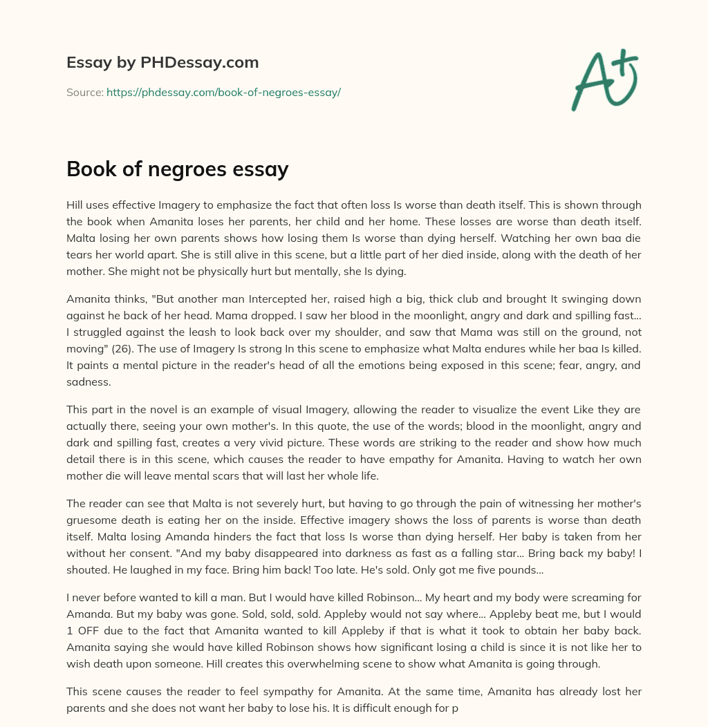 Book of negroes essay essay