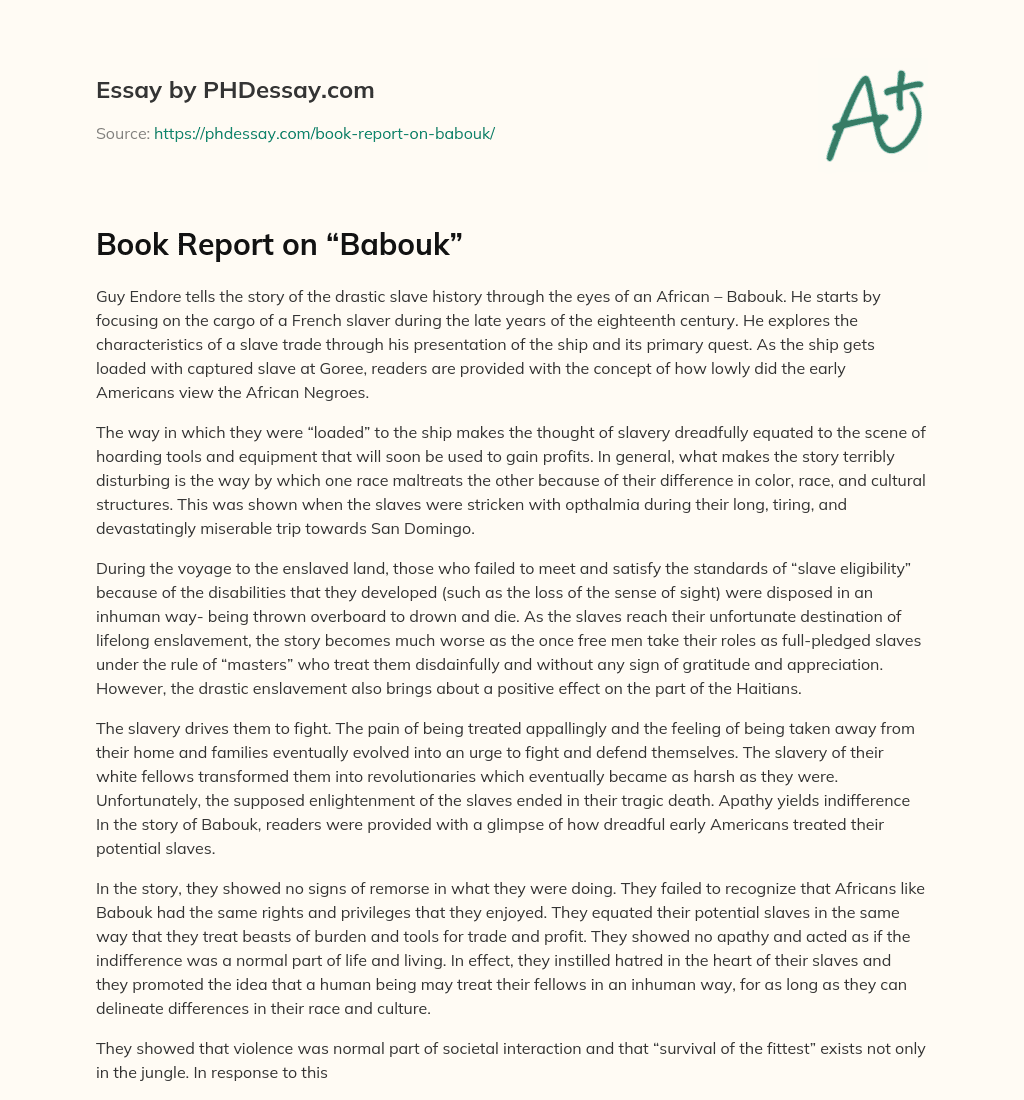 Book Report on “Babouk” essay