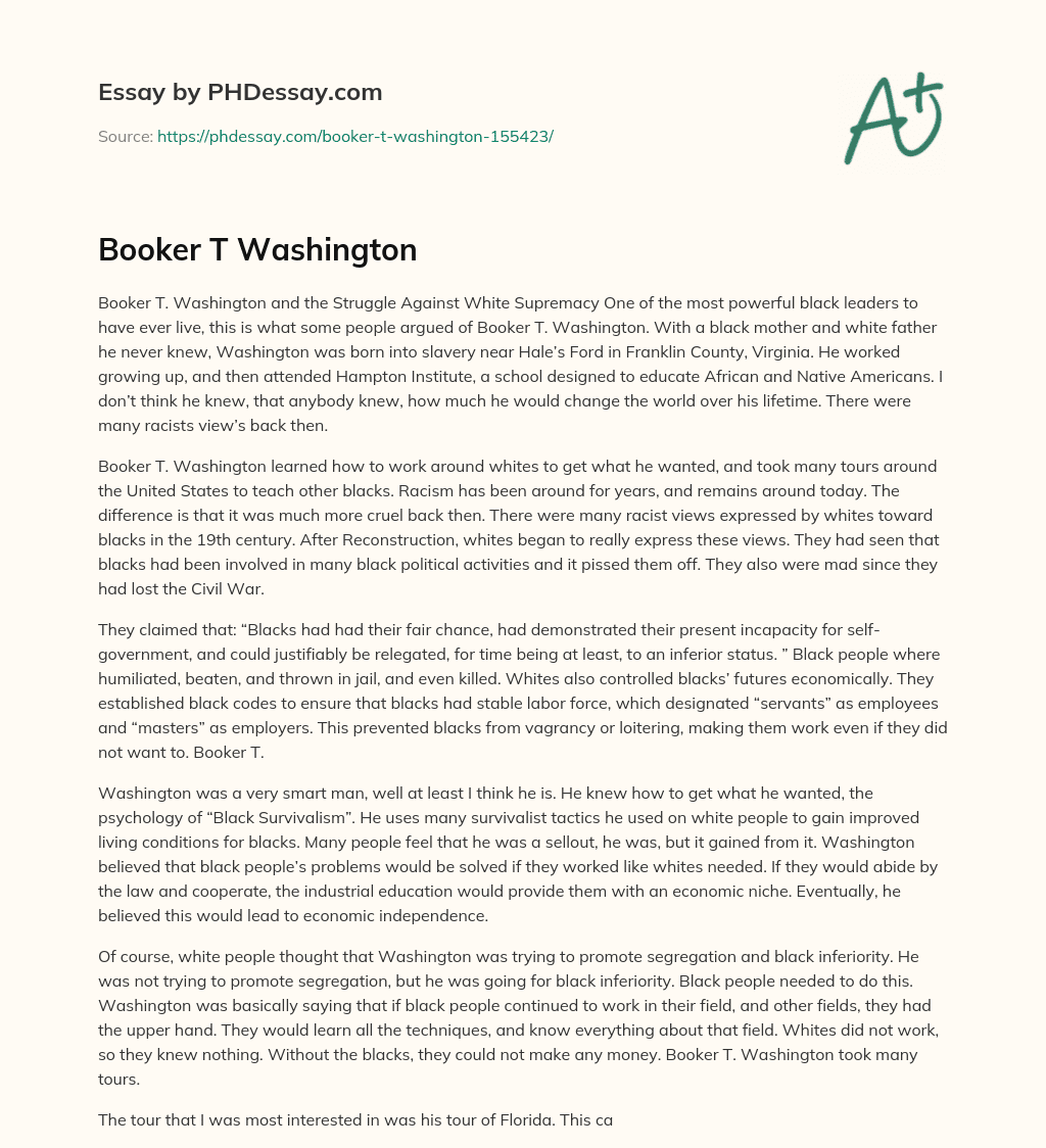 Booker T. Washington’s Struggle Against Racism in the 19th Century essay