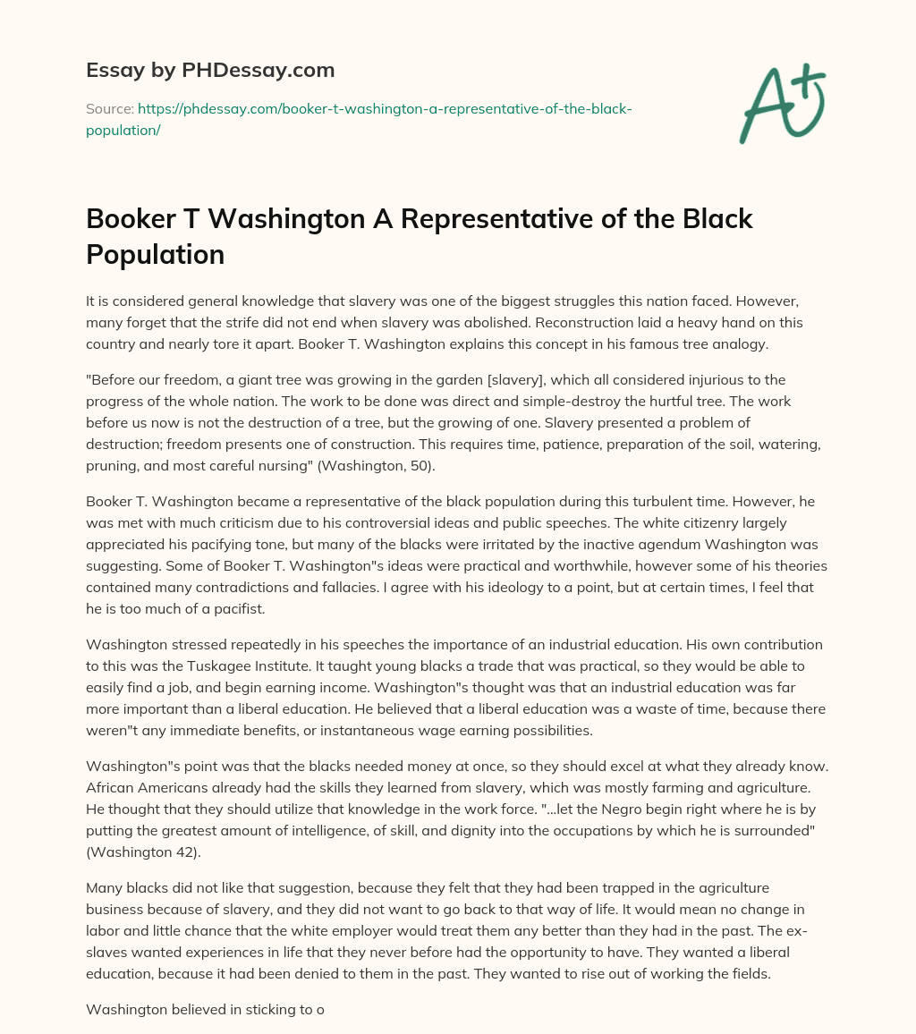Booker T Washington A Representative of the Black Population essay