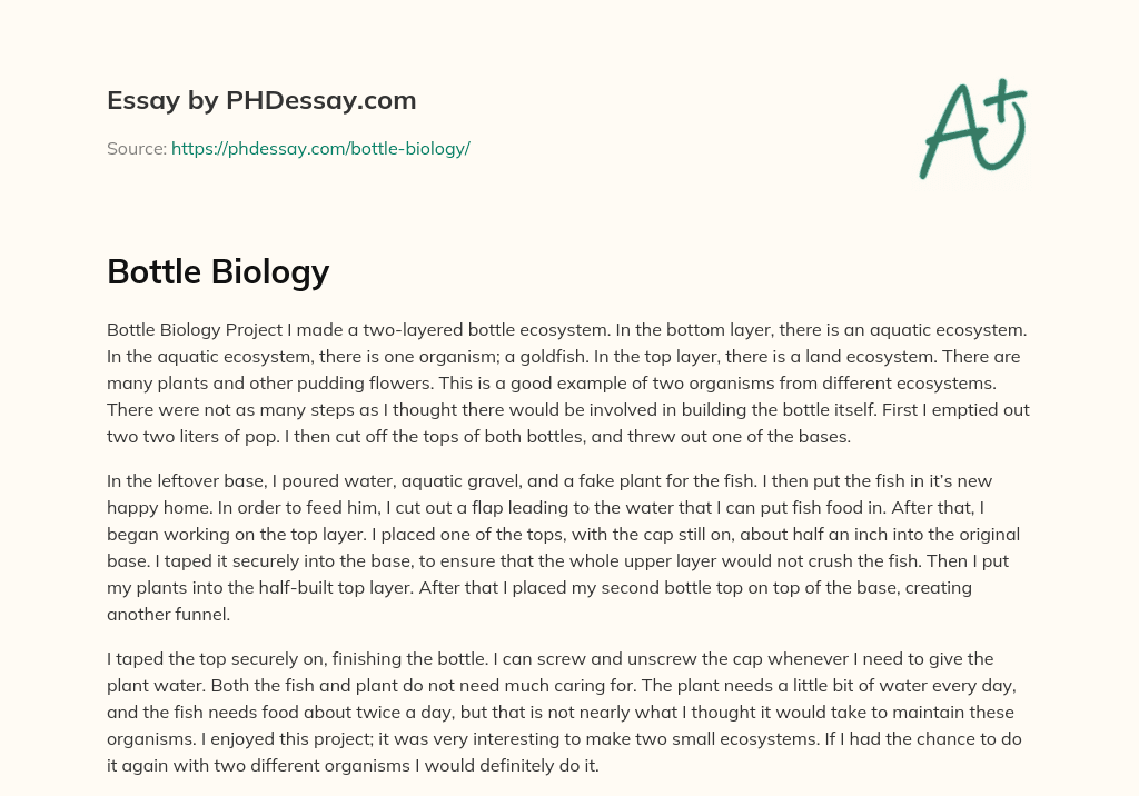 Bottle Biology essay