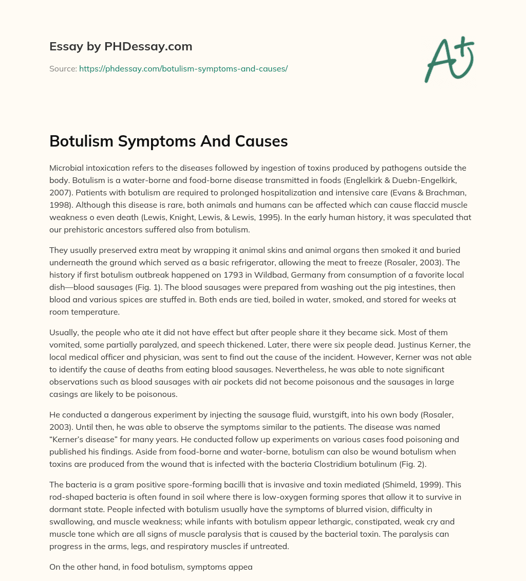 Botulism Symptoms And Causes essay