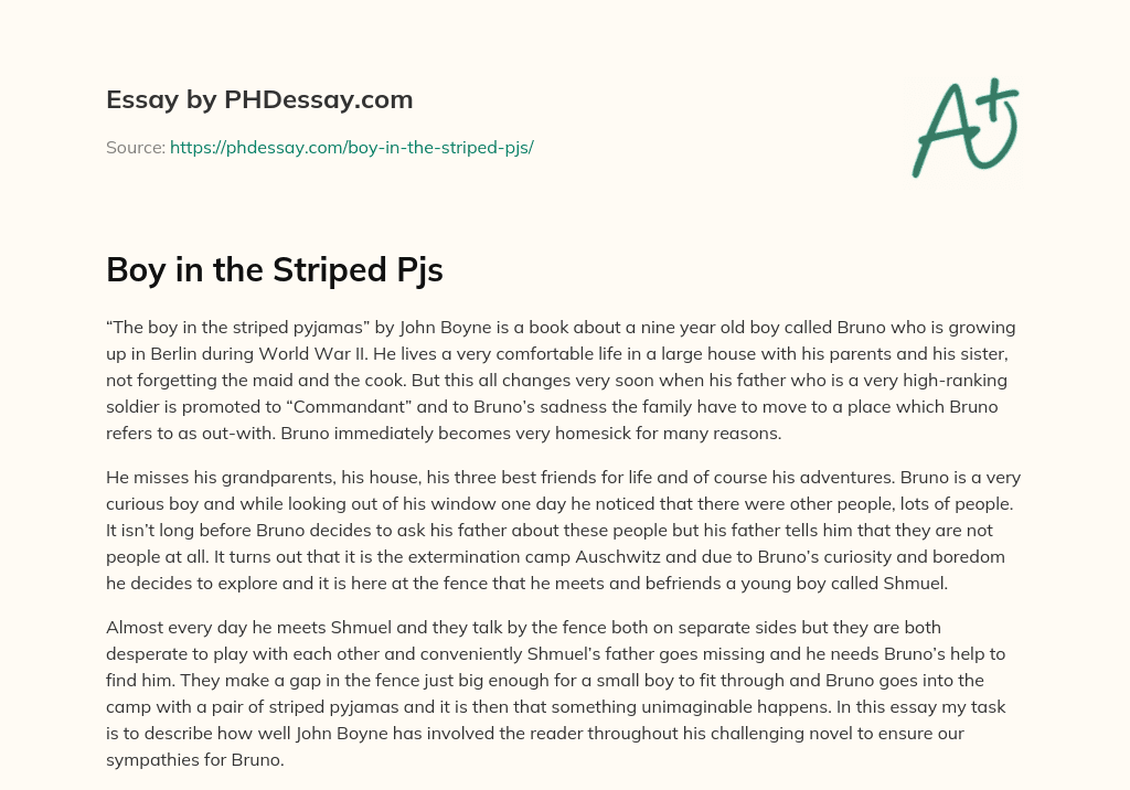 Boy in the Striped Pjs essay