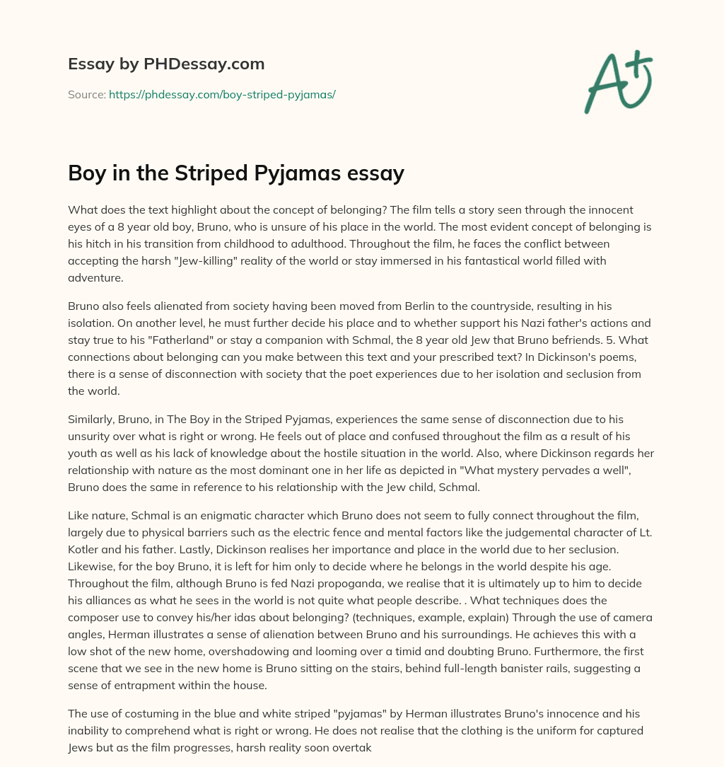 Boy in the Striped Pyjamas essay essay
