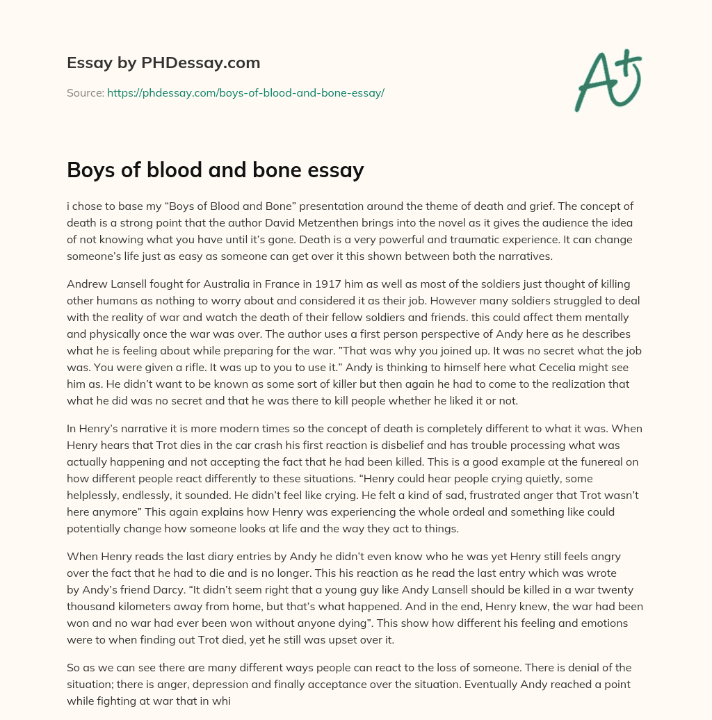Boys of blood and bone essay essay