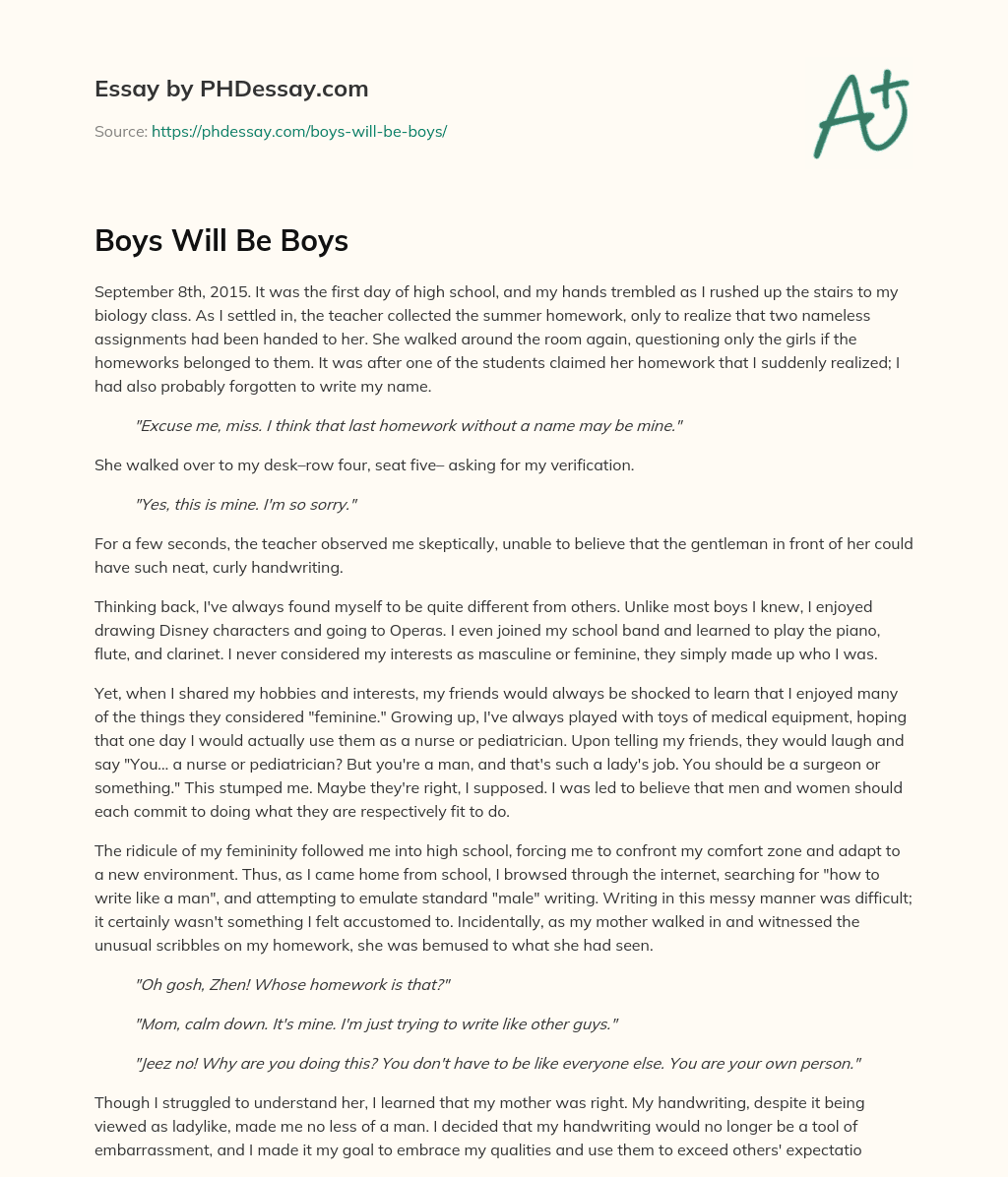 Boys Will Be Boys essay