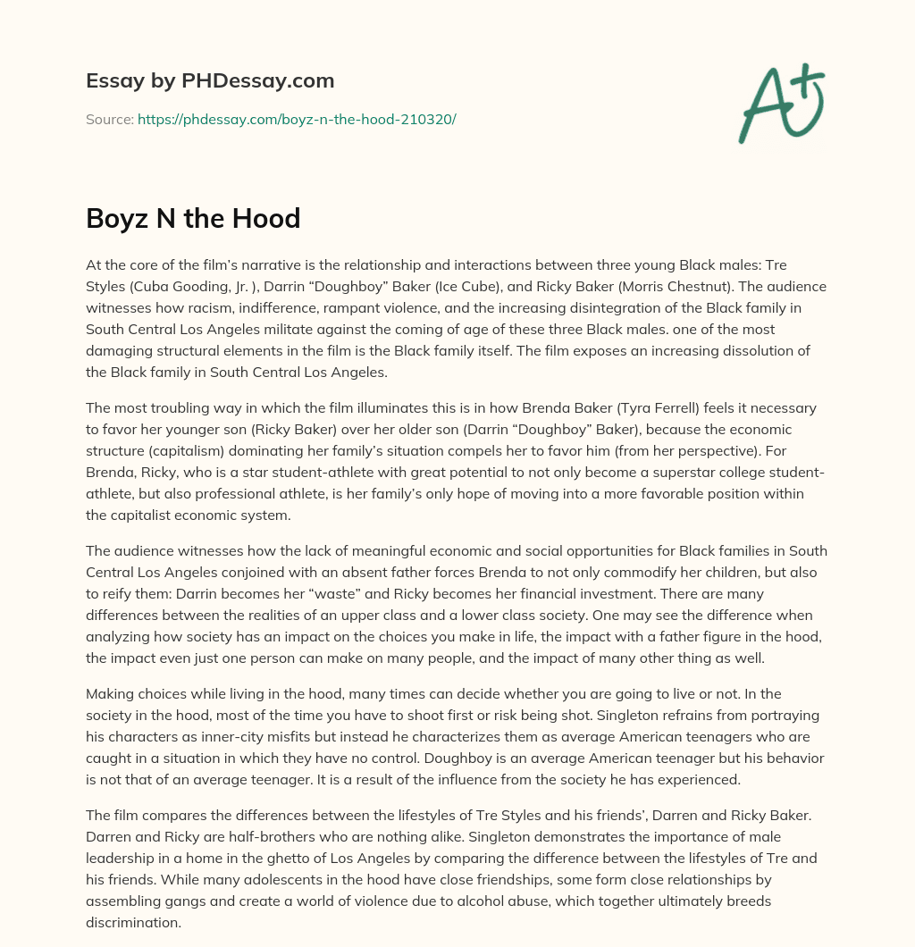 Boyz N the Hood essay