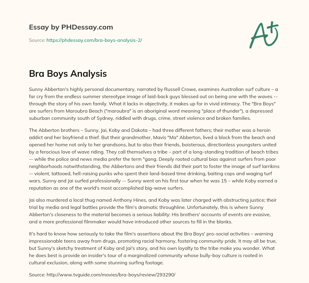 Bra Boys Analysis essay