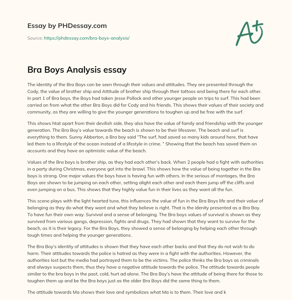 Bra Boys Analysis essay essay