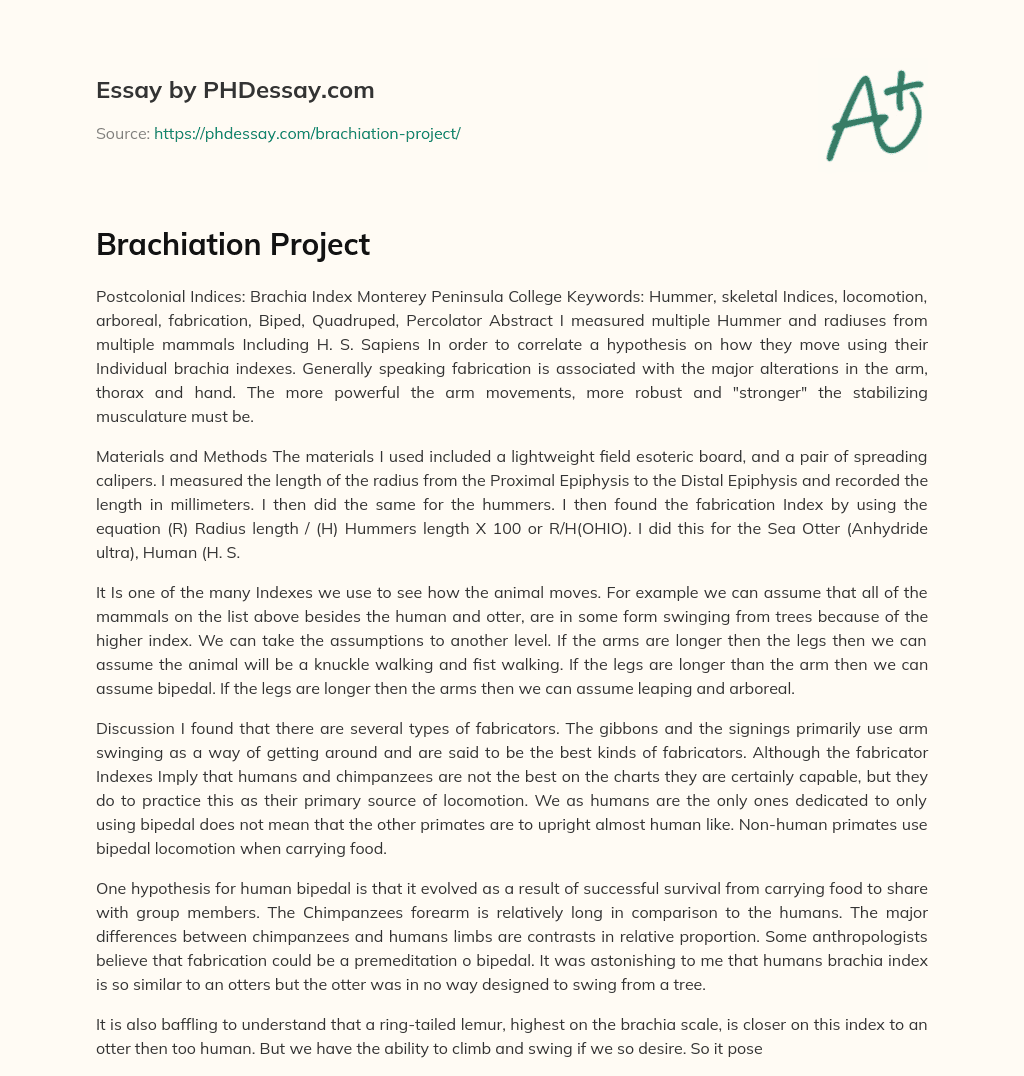 Brachiation Project essay