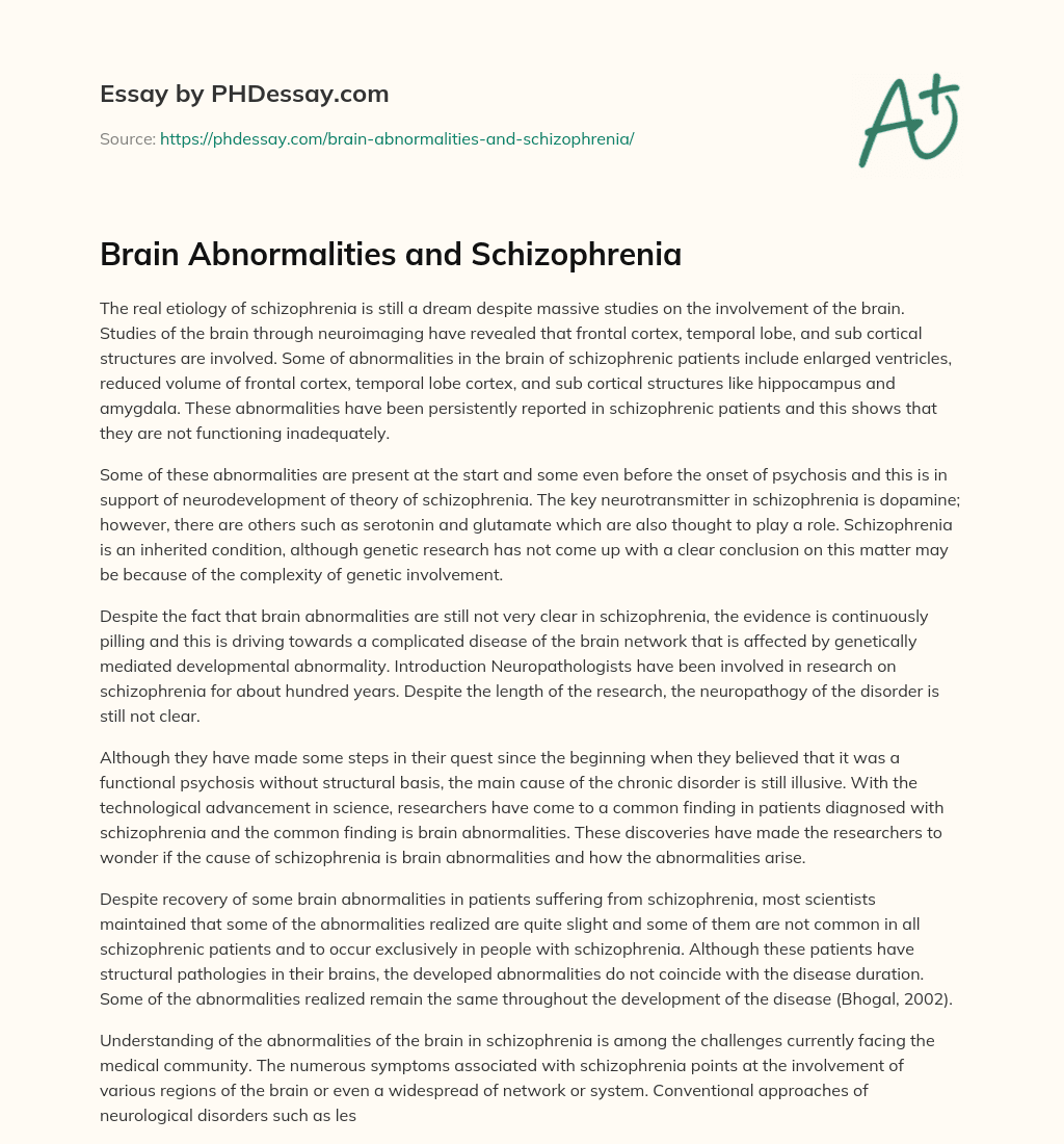 Brain Abnormalities and Schizophrenia essay