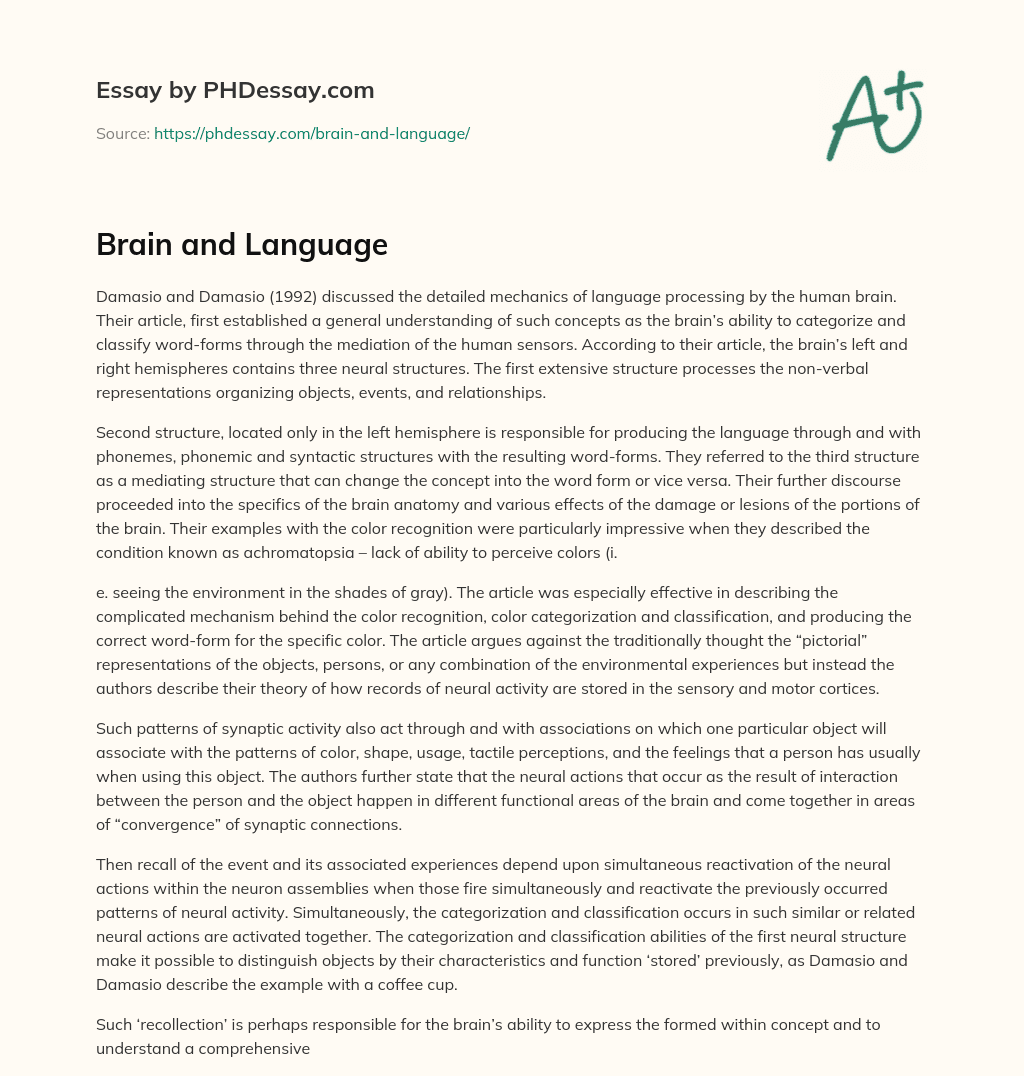 Brain and Language essay