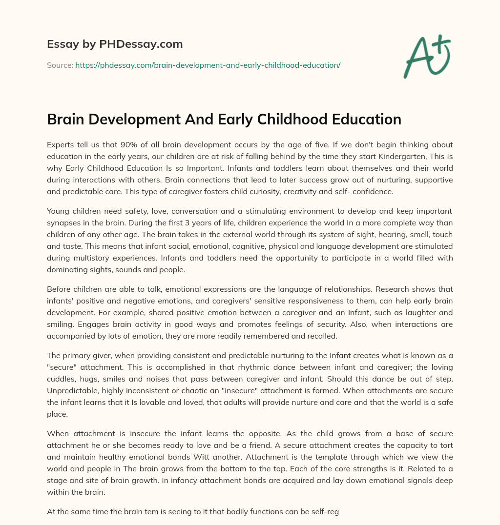 Brain Development And Early Childhood Education essay