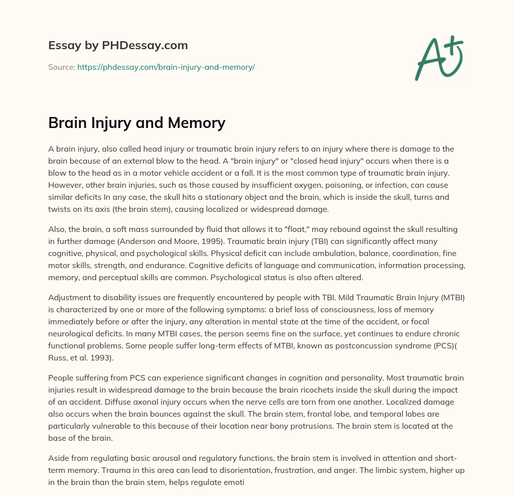 Brain Injury And Memory essay