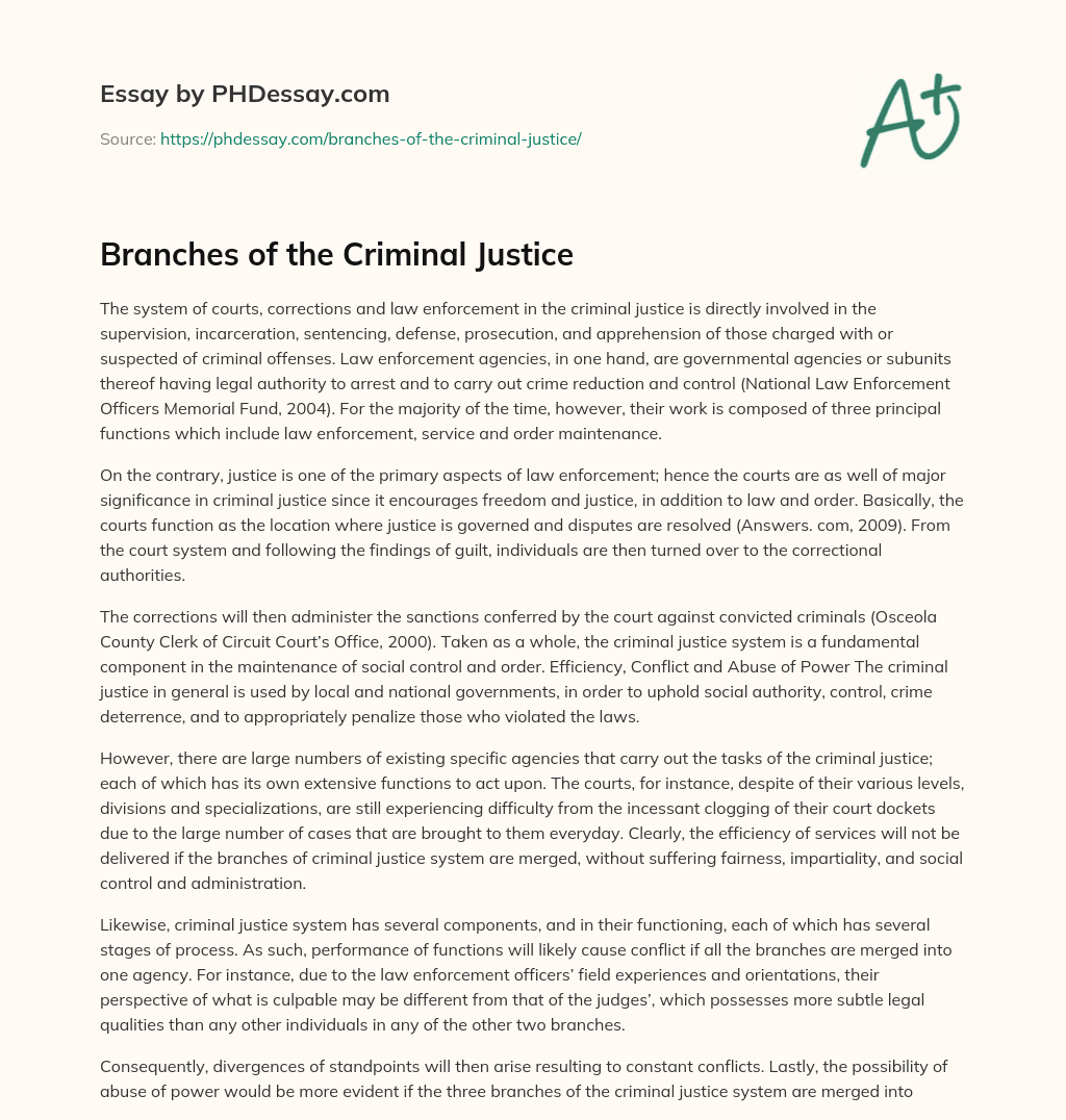 Branches of the Criminal Justice essay