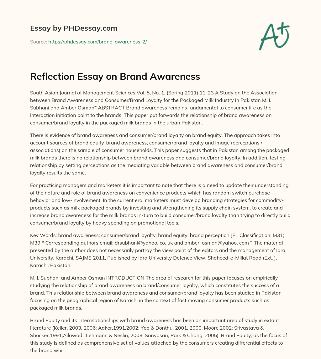 Reflection Essay on Brand Awareness essay