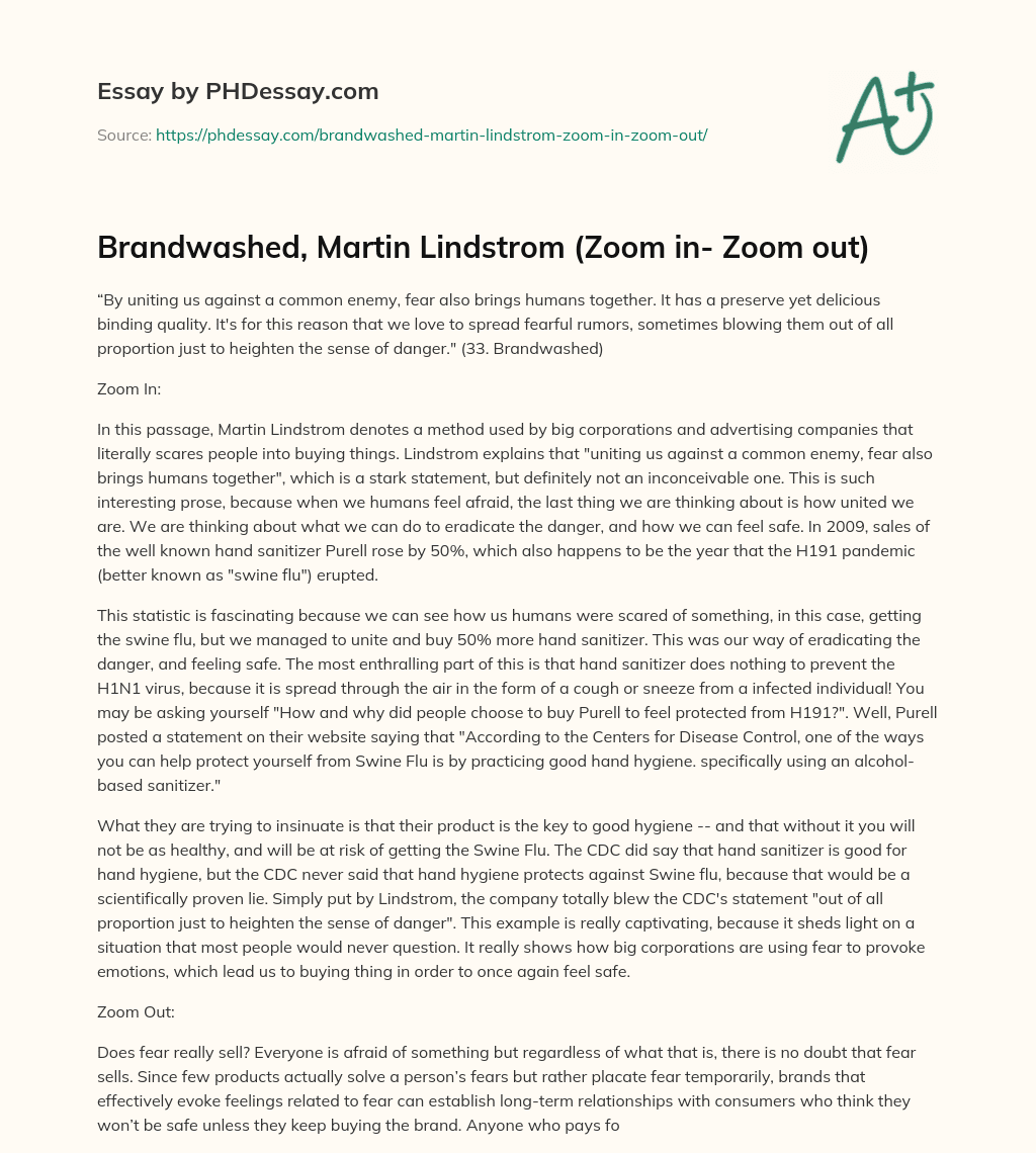 Brandwashed, Martin Lindstrom (Zoom in- Zoom out) essay