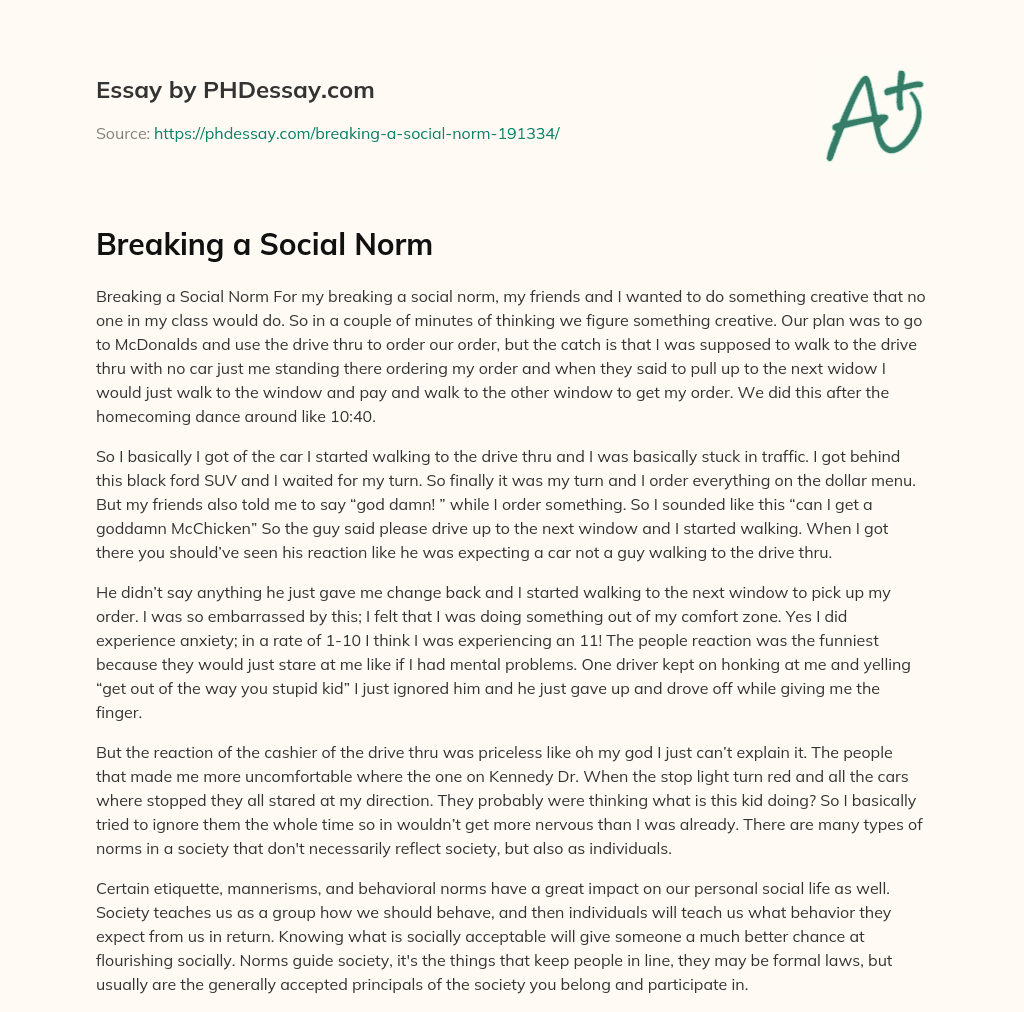 Breaking a Social Norm essay