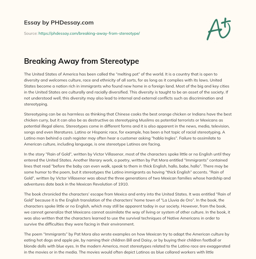 Breaking Away from Stereotype essay
