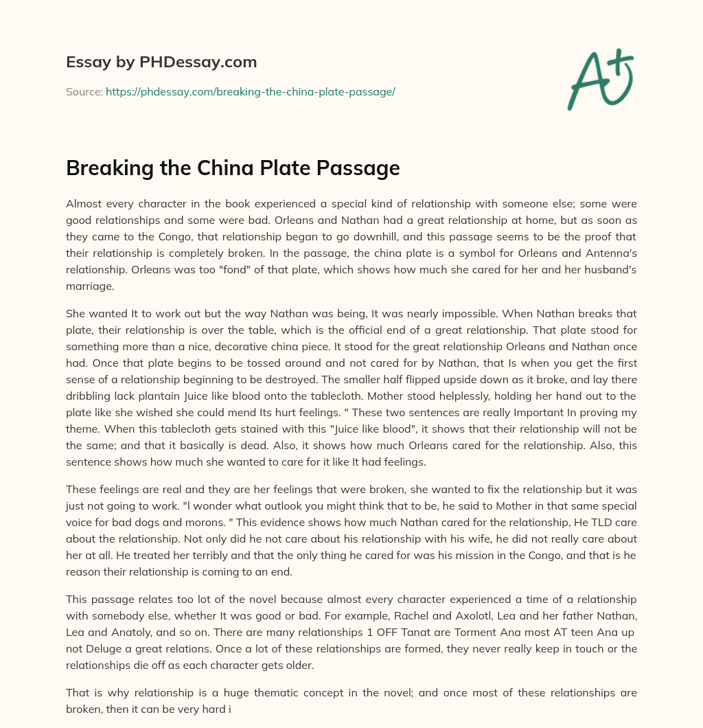 Breaking the China Plate Passage essay