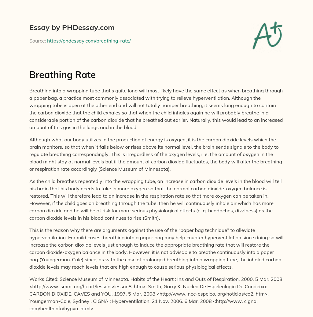 Breathing Rate essay