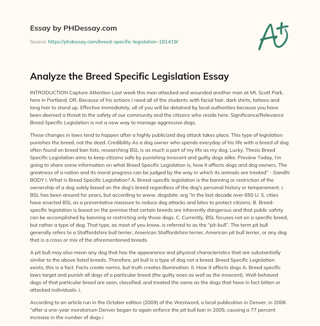 BSL: Punishing Innocent and Guilty Dogs Alike essay