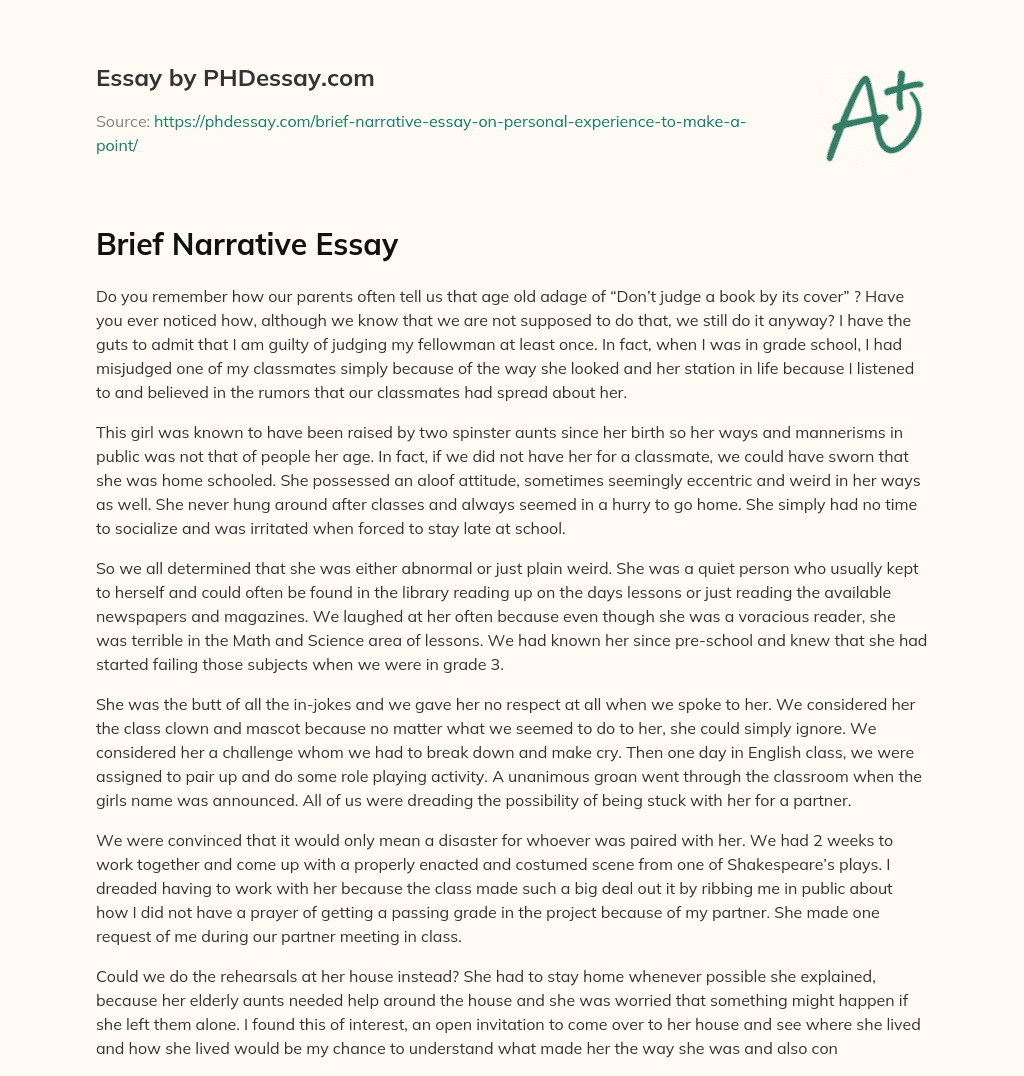 Brief Narrative Essay essay