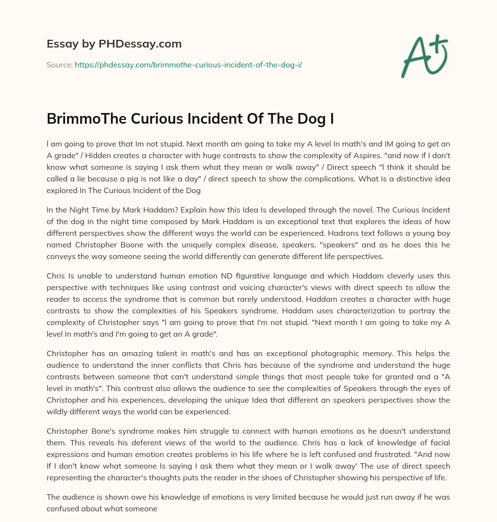 BrimmoThe Curious Incident Of The Dog I essay