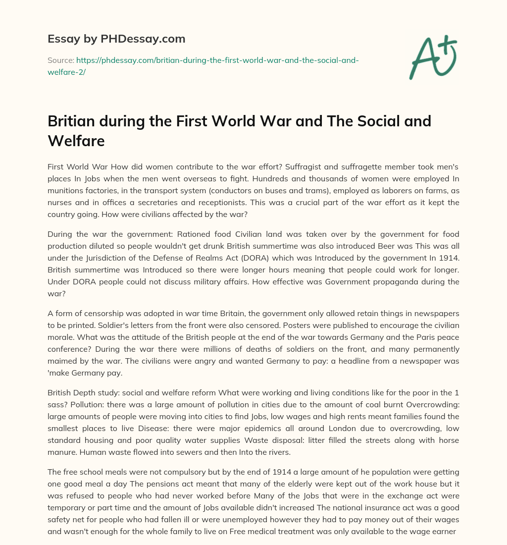 Britian during the First World War and The Social and Welfare essay