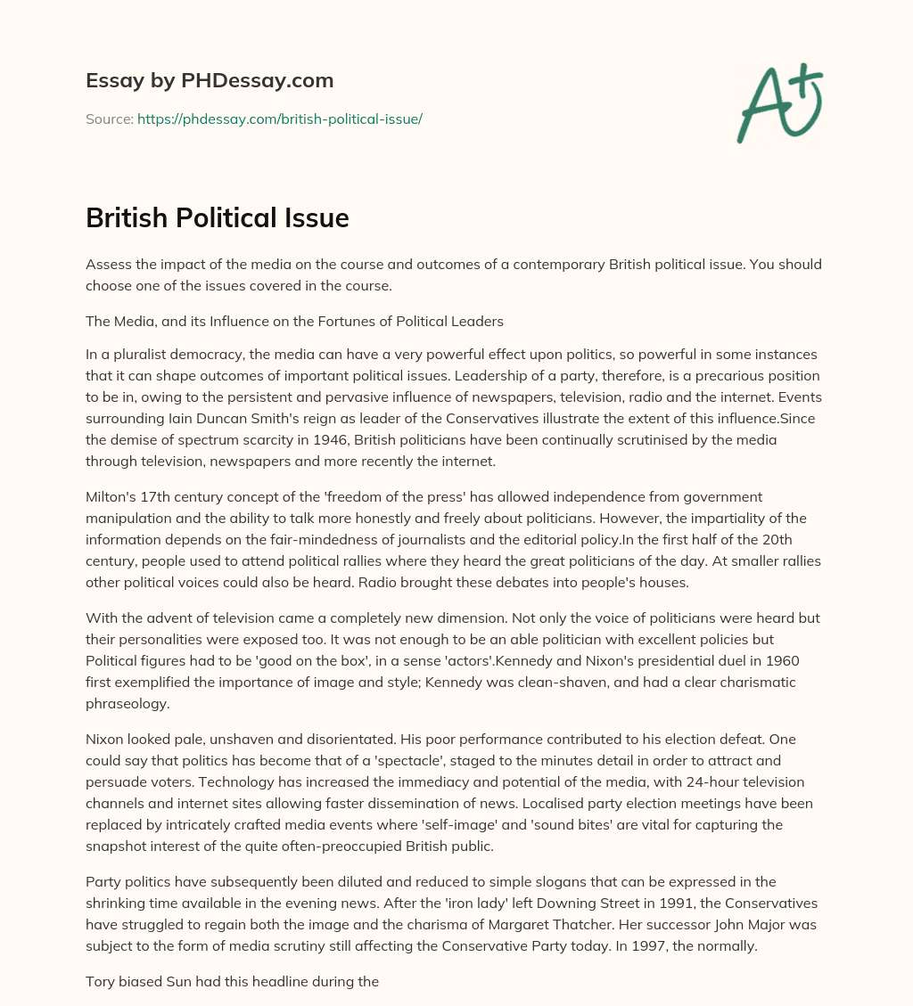 British Political Issue essay