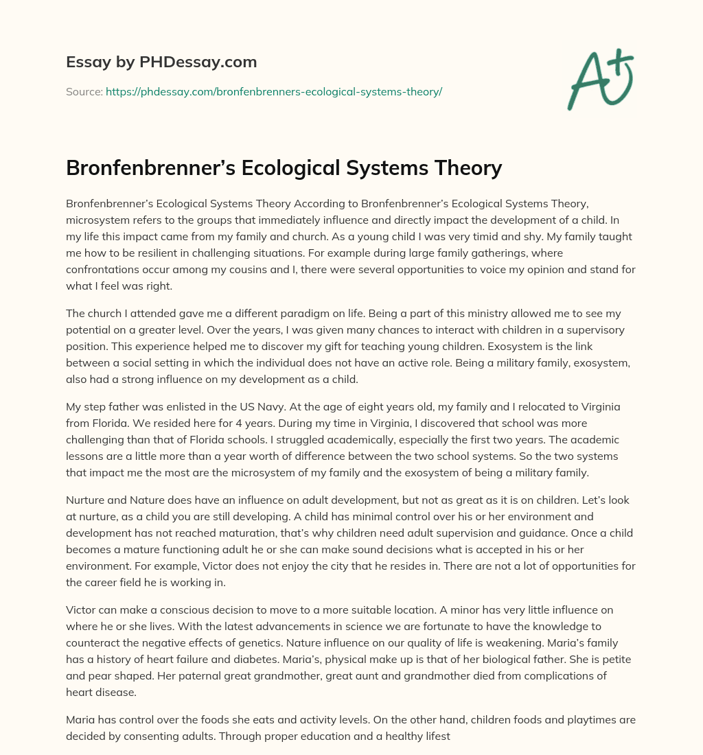 Bronfenbrenner’s Ecological Systems Theory essay