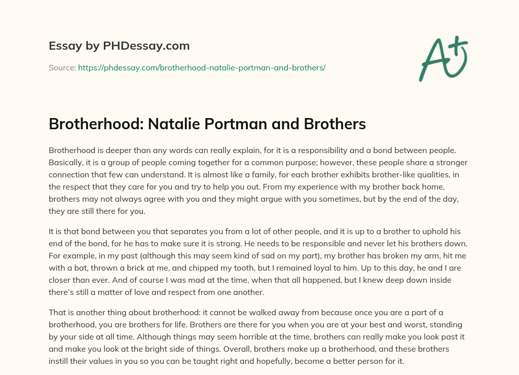 Brotherhood: Natalie Portman and Brothers essay