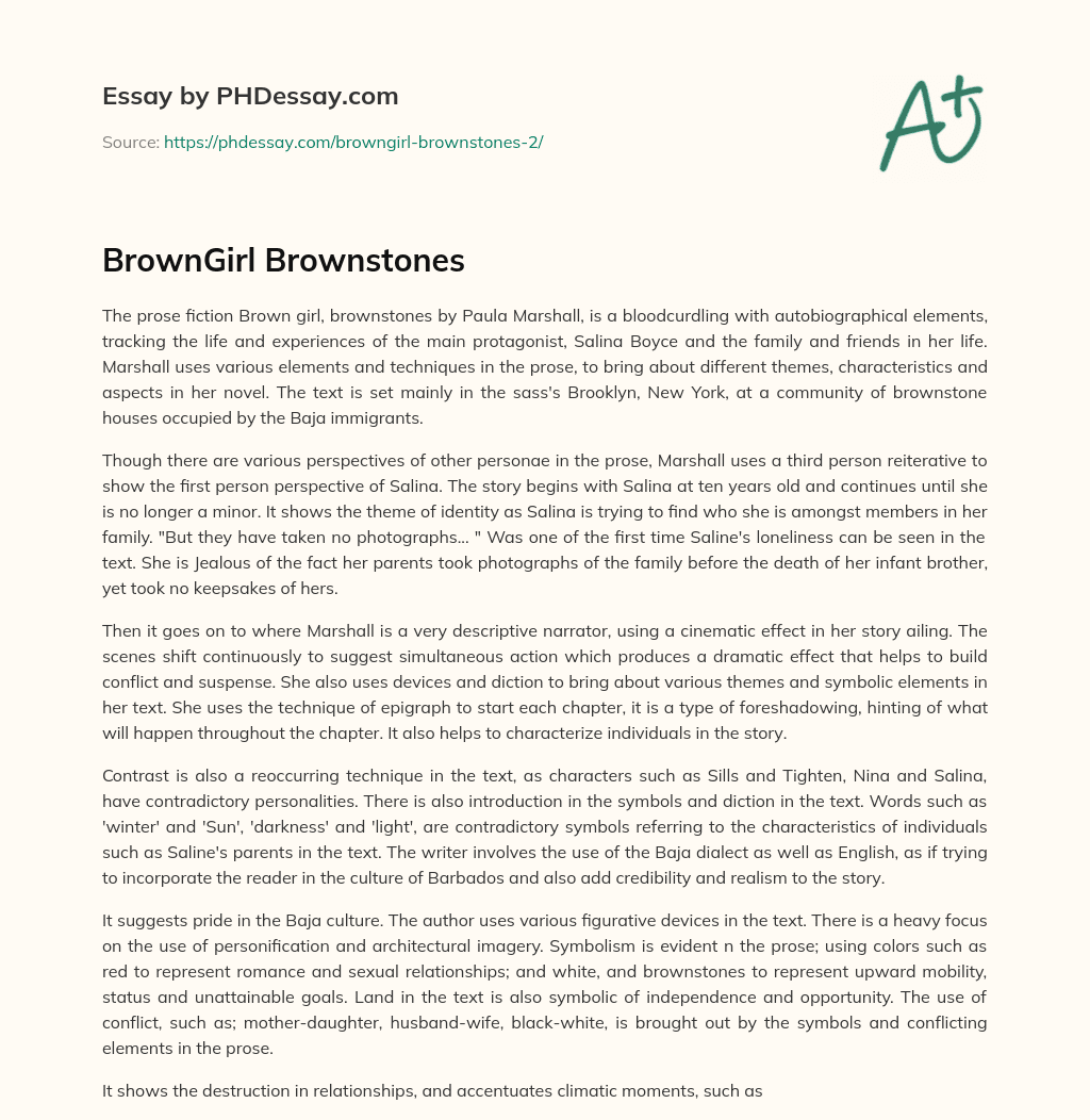 BrownGirl Brownstones essay