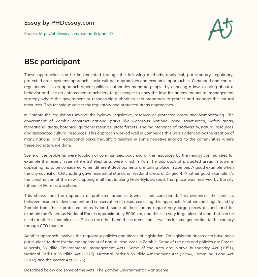 BSc participant essay